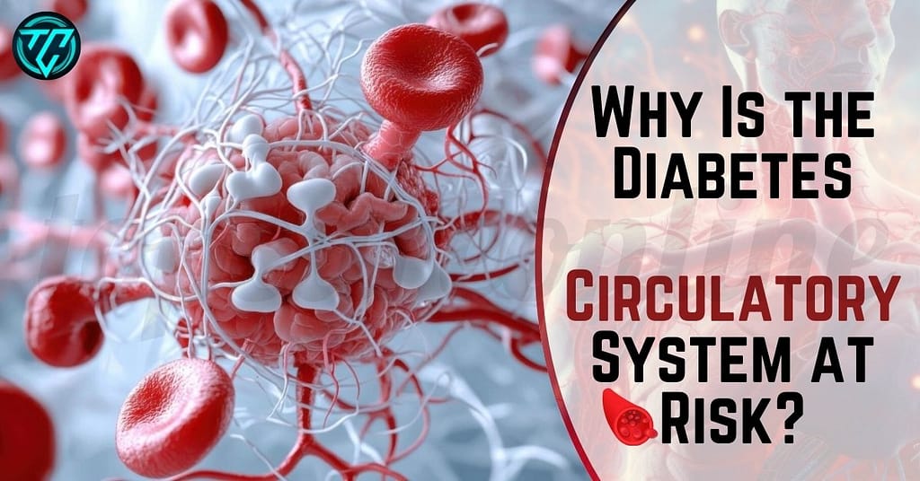 Diabetes Circulatory System