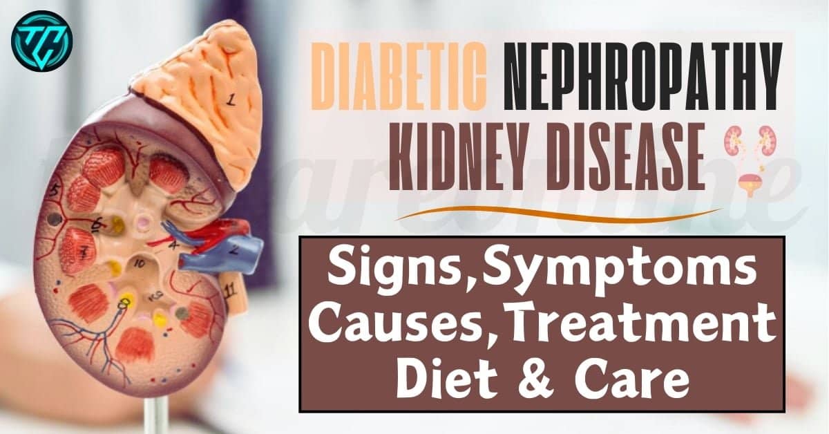 Diabetic Nephropathy Kidney Disease: Signs,Symptoms,Causes,Treatment,Diet & Care